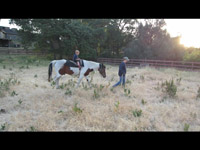 Horse ride